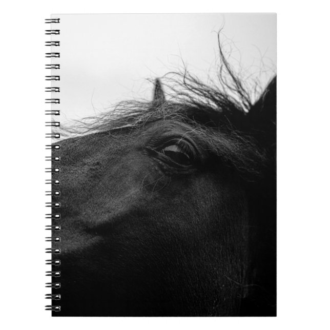 CADERNO ESPIRAL CAVALO PRETO (Frente)