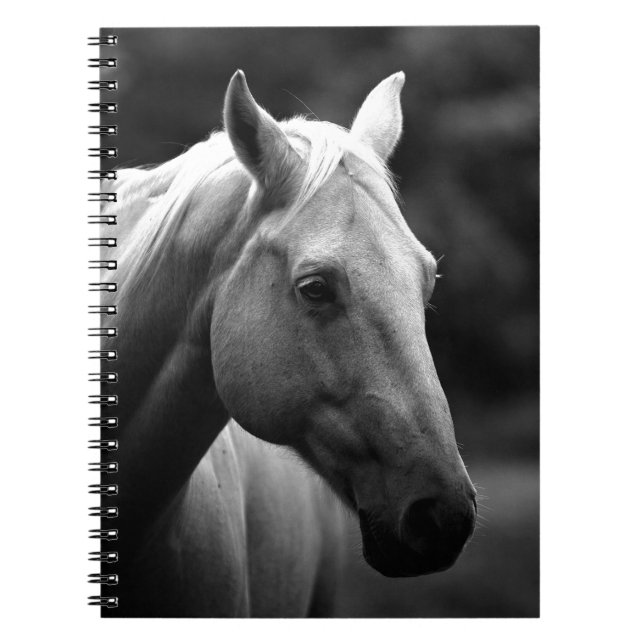 Caderno Espiral Cavalo Preto Branco (Frente)