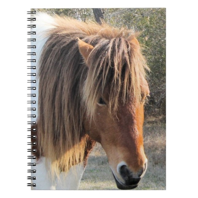 Caderno Espiral cavalo selvagem (Frente)