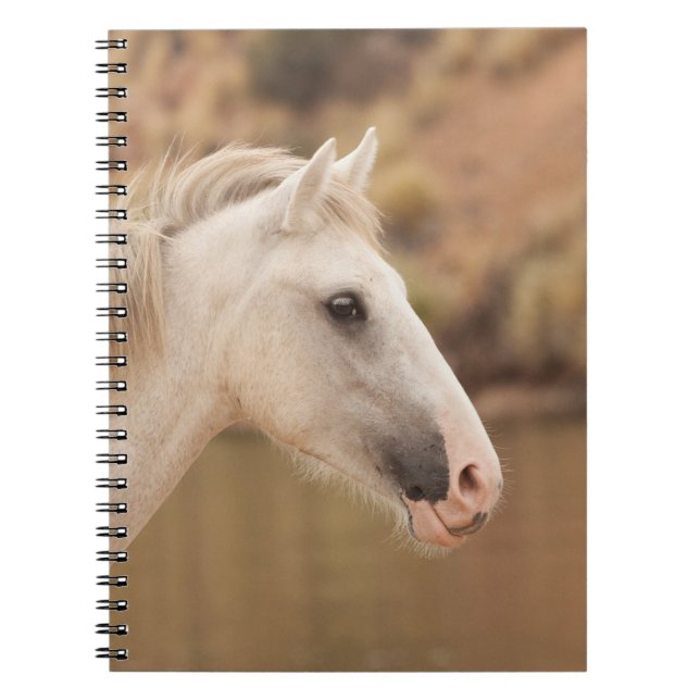 Caderno Espiral Cavalo Selvagem Branco (Frente)