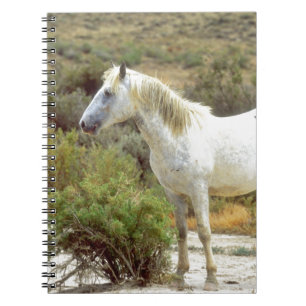 Caderno Espiral Cavalo selvagem cinzento, Rock Springs, Wyoming