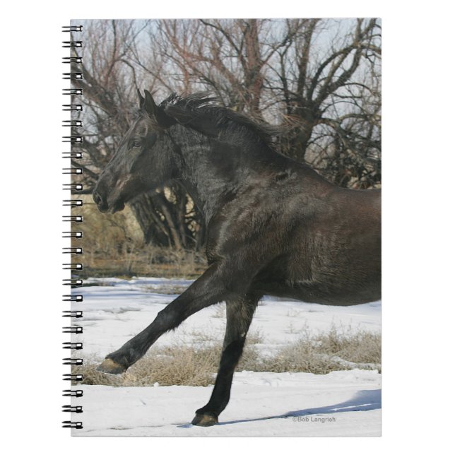 Caderno Espiral Cavalo selvagem do mustang na neve 2 (Frente)