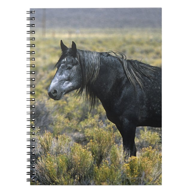 Caderno Espiral Cavalo selvagem do mustang no deserto (Frente)