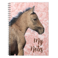 Cavalo Selvagem Minhas Notas