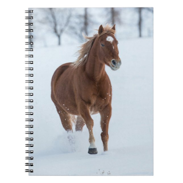Caderno Espiral Cavalo solteiro correndo na neve (Frente)