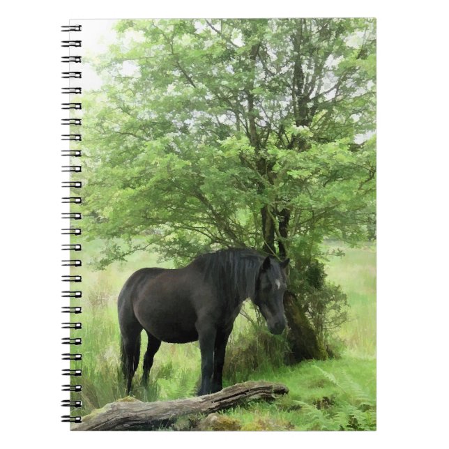 CADERNO ESPIRAL CAVALOS (Frente)