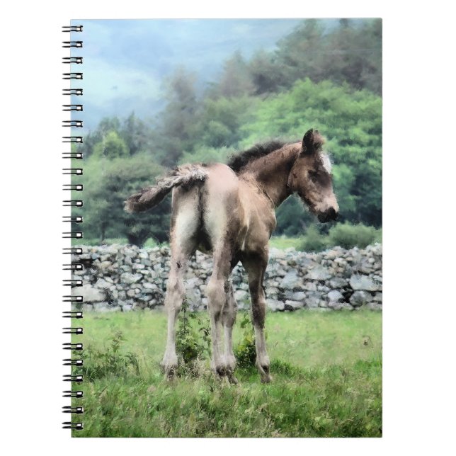 CADERNO ESPIRAL CAVALOS (Frente)