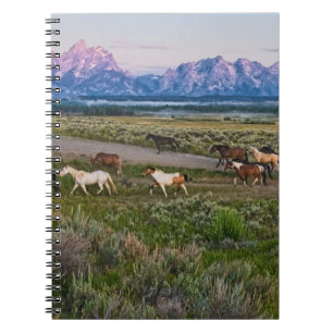 Caderno Espiral Cavalos caminham