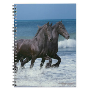 Caderno Espiral Cavalos da fantasia: Frisões & mar