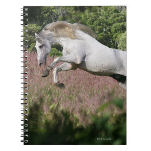 Caderno Espiral Cavalos da fantasia: Galope do primavera