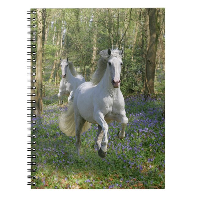 Caderno Espiral Cavalos da fantasia: Madeira do Bluebell (Frente)