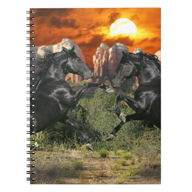 Caderno Espiral Cavalos da fantasia: Magia negra (Frente)