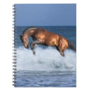 Caderno Espiral Cavalos da fantasia: Selle Francais & mar