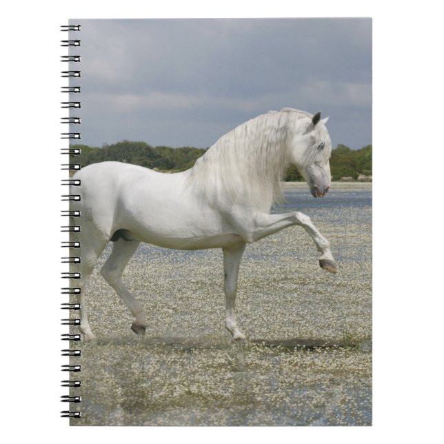 Caderno Espiral Cavalos da fantasia: Senhor do lago (Frente)
