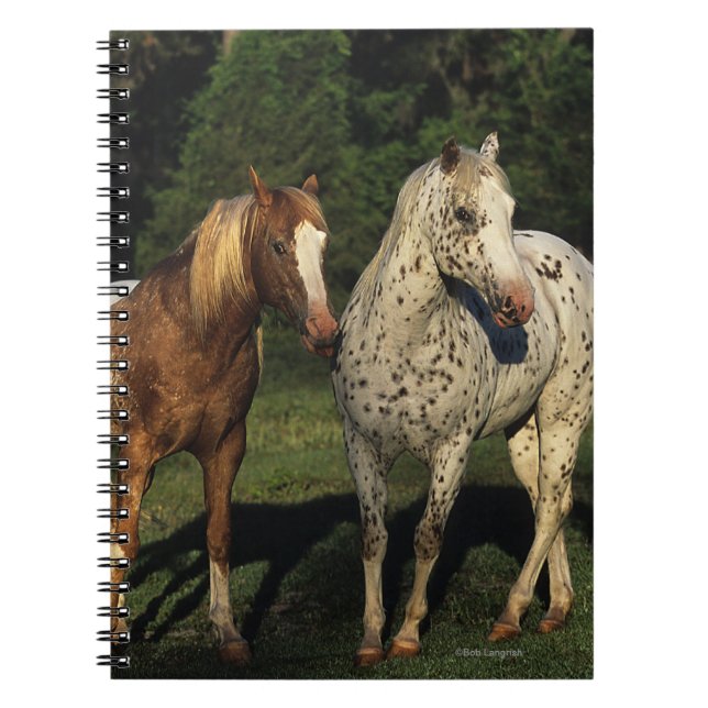 Caderno Espiral Cavalos do Appaloosa (Frente)