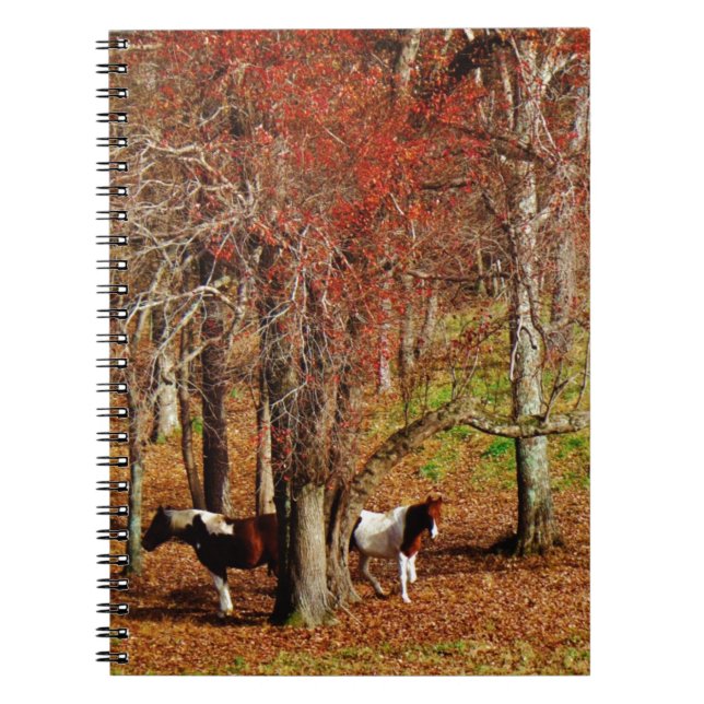 Caderno Espiral Cavalos Gêmeos Castanho e Branco (Frente)