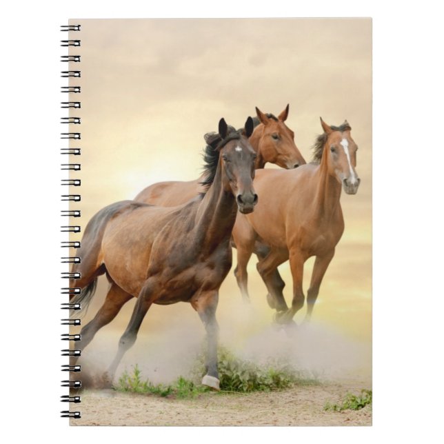 Caderno Espiral Cavalos no por do sol (Frente)