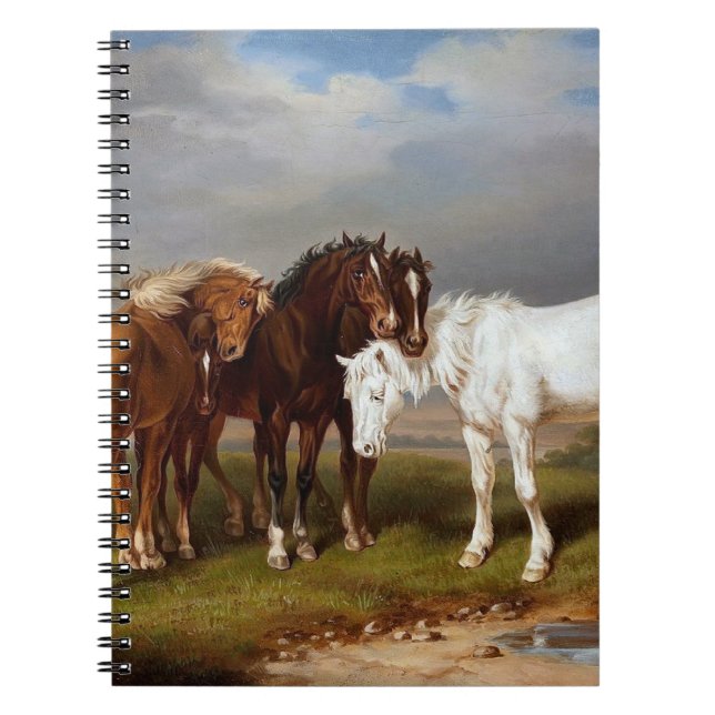 Caderno Espiral Cavalos por volta de 1864 (Frente)