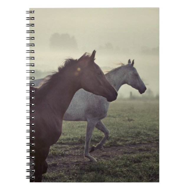 Caderno Espiral Cavalos selvagens (Frente)