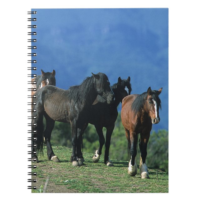 Caderno Espiral Cavalos selvagens do mustang nas montanhas (Frente)