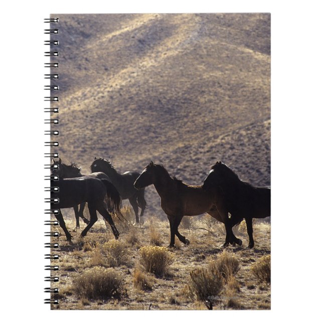 Caderno Espiral Cavalos selvagens do mustang no deserto 1 (Frente)