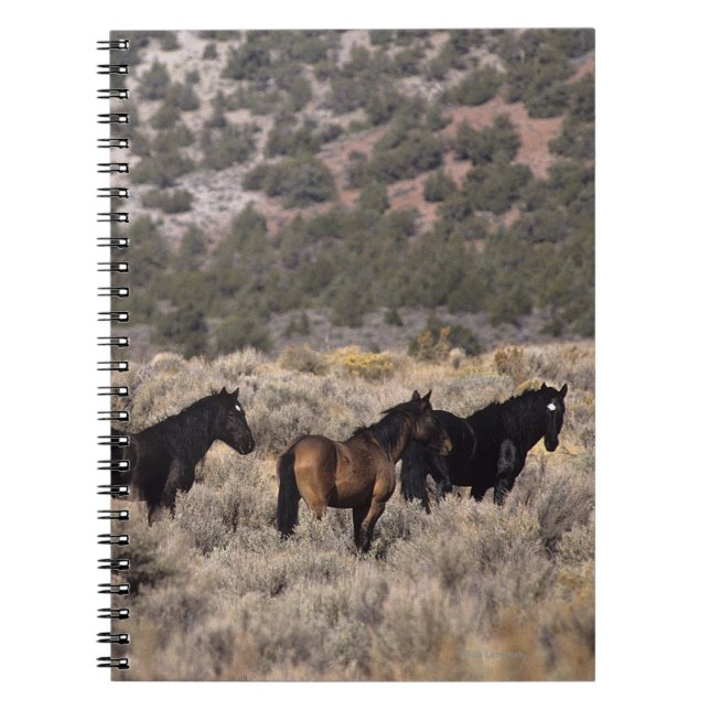 Caderno Espiral Cavalos selvagens do mustang no deserto 2 (Frente)