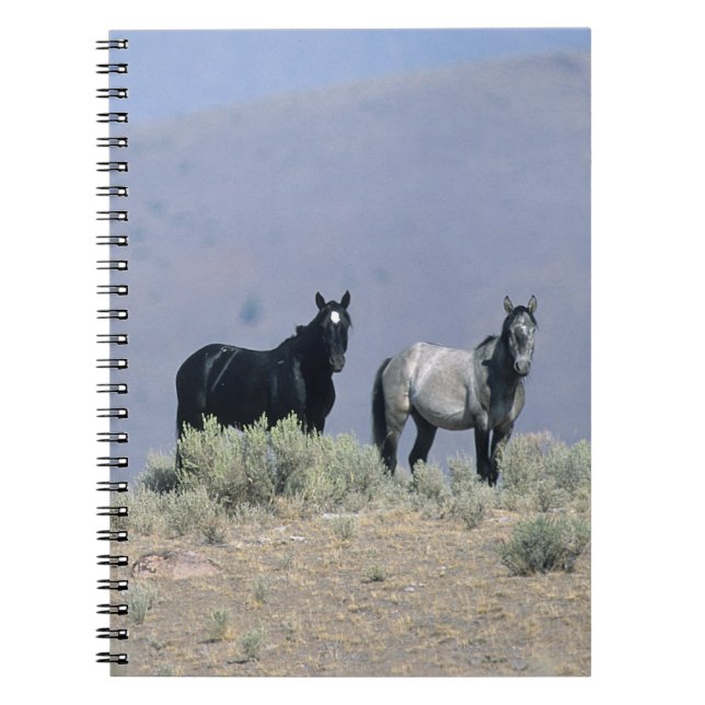Caderno Espiral Cavalos selvagens do mustang no deserto 3 (Frente)