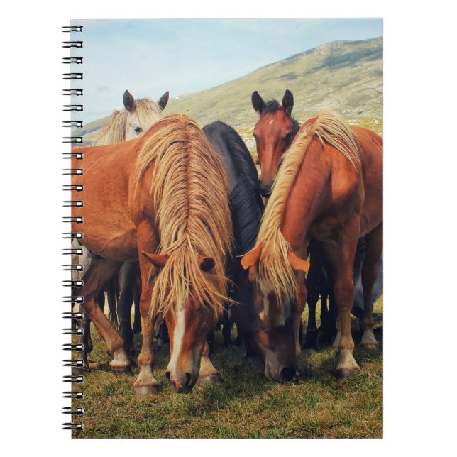 Caderno Espiral Cavalos Selvagens Livno Nature Scene (Frente)