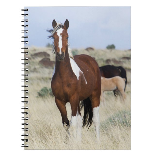 Caderno Espiral Cavalos Selvagens, Montanhas Steens (Frente)
