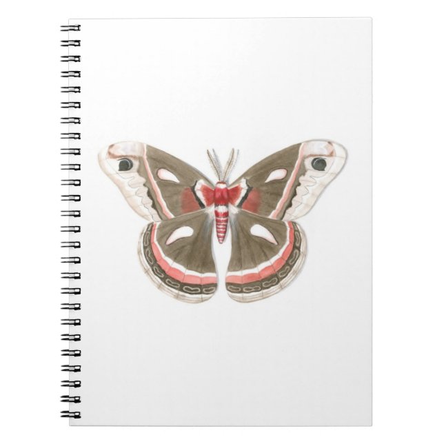 Caderno Espiral Cecropia Moth Notebook (Frente)
