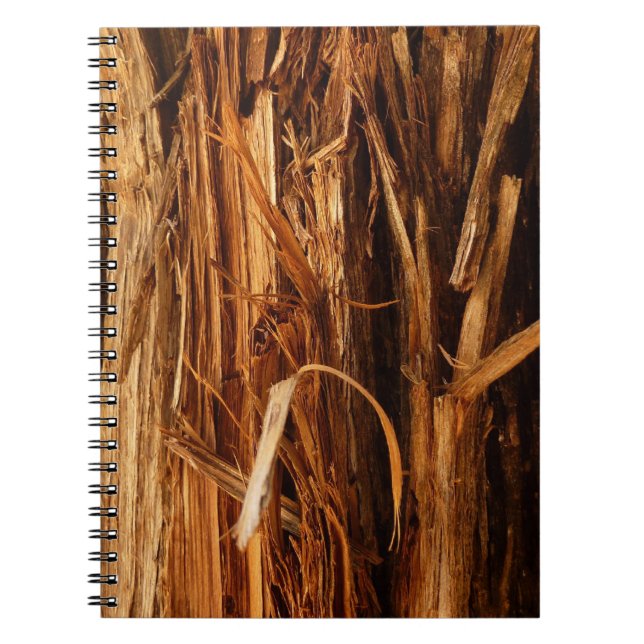 Caderno Espiral Cedar Textura de Latido de Madeira (Frente)