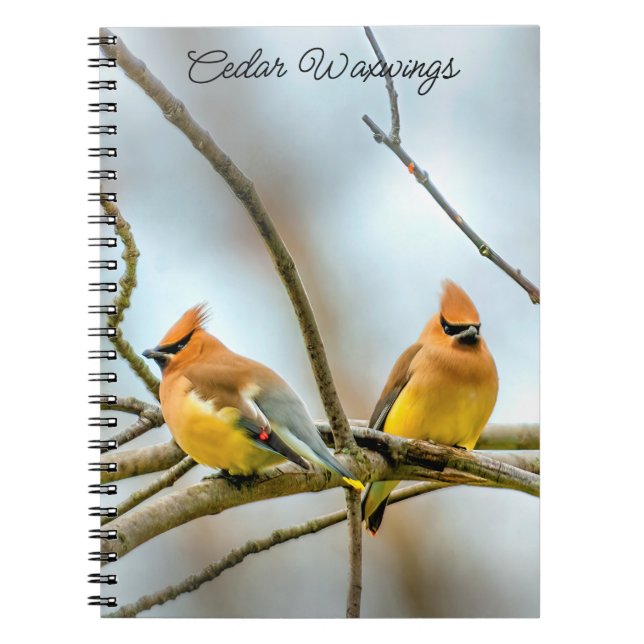 Caderno Espiral Cedar Waxwing - Foto Original (Frente)