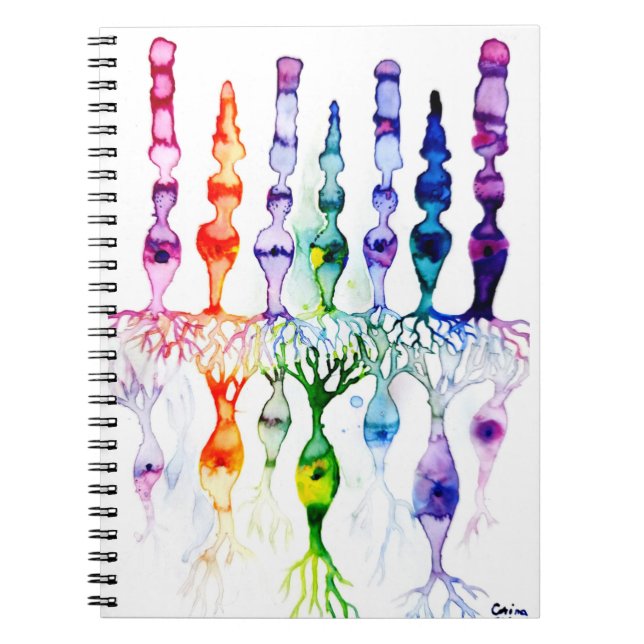 Caderno Espiral Células de cone e neurônio bipolar da retina (Frente)