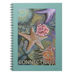 Caderno Espiral Cena ConnecticutTidepool