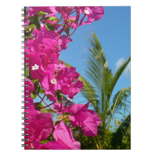 Caderno Espiral Cena da Natureza Tropical de Bougainvillea e Palm 