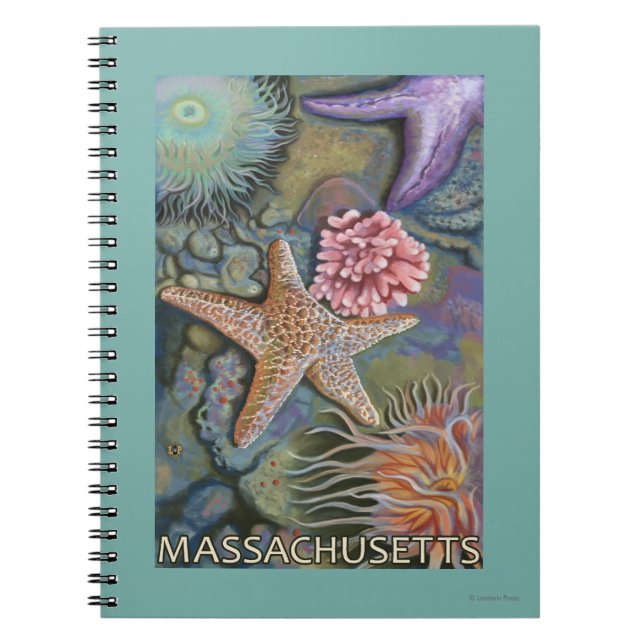 Caderno Espiral Cena de MassachusettsTidepool (Frente)