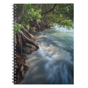 Caderno Espiral Cena Mística Mangrove Shoreline Ocean