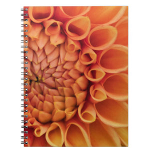 Caderno Espiral Center Orange Dahlia Flower