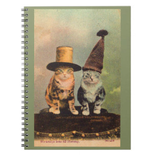 Caderno Espiral cerca de 1900 gatos em chapéus RPPC