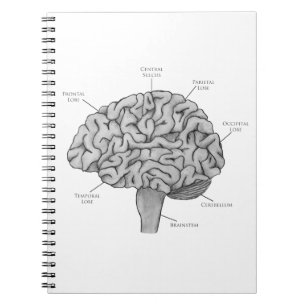Caderno Espiral Cérebro Científico