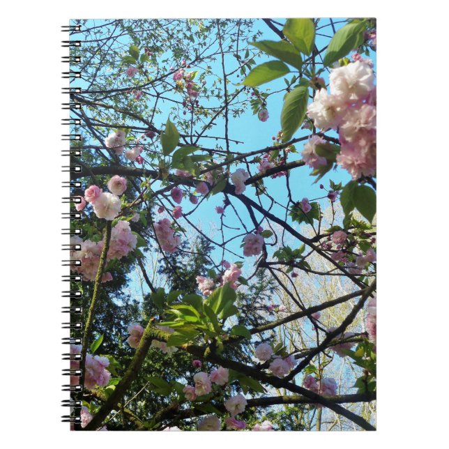 Caderno Espiral Cereja Flor, Flor, Natureza, Flor Rosa (Frente)