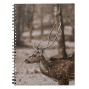 CADERNO ESPIRAL CERVEJA COM ANTLERS
