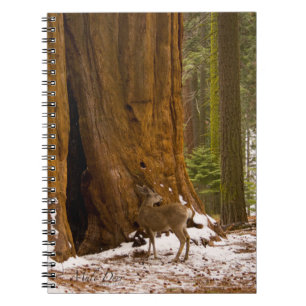 Caderno Espiral Cervo-Mula