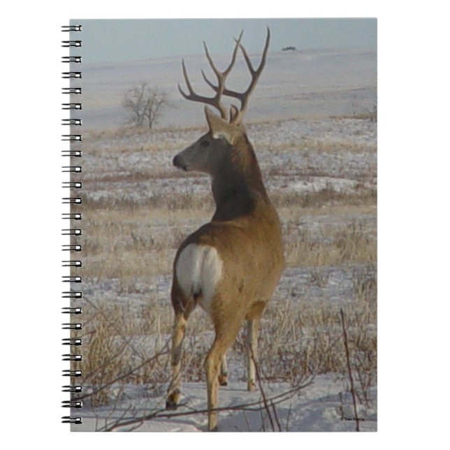 Caderno Espiral Cervo Mula Macho D20 na Neve (Frente)