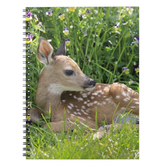 Caderno Espiral cervos Branco-atados (virginianus do Odocoileus) (Frente)