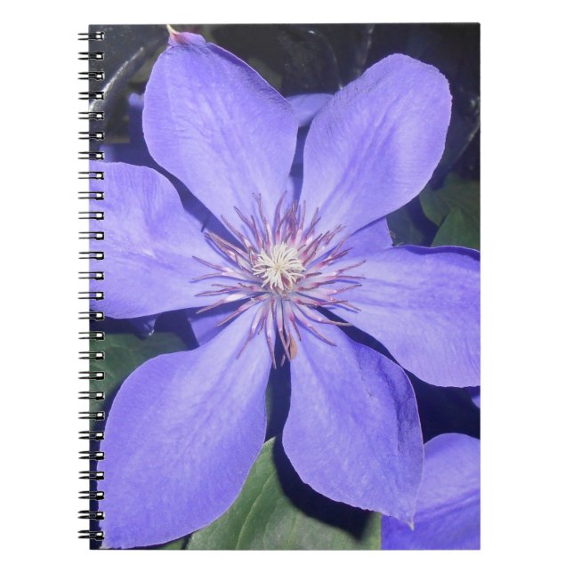 Caderno Espiral Césarine (Frente)