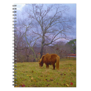 Caderno Espiral Céu azul-marinho miniatura