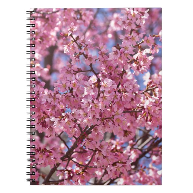 Caderno Espiral Céu Rosa Flor de Cerejeira Sakura (Frente)