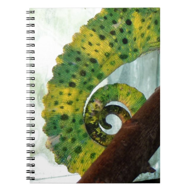 Caderno Espiral Chameleon Tail (Frente)