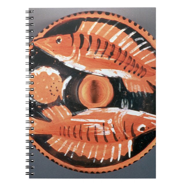 Caderno Espiral Chapeie a descrição de dois peixes, 350 BC (Frente)